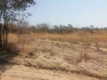 Farm & Agricultural Land