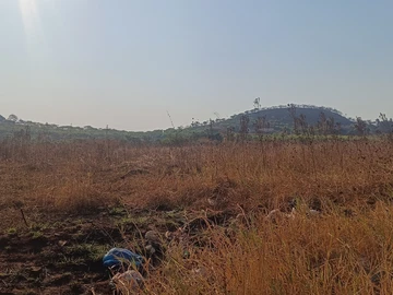 Commercial & Industrial Land