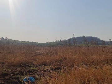 Commercial & Industrial Land