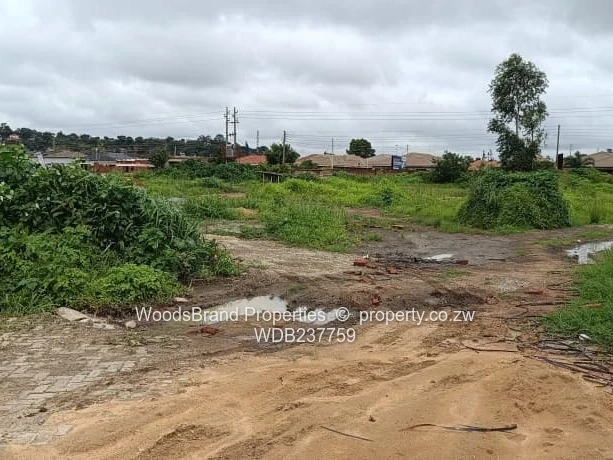 Cold Comfort Duplex Stands- Pleasant Valley drive