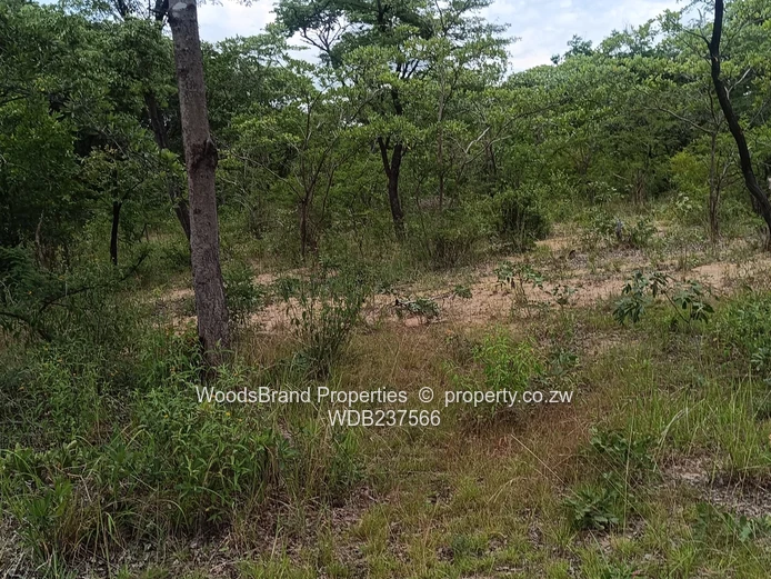 Chegutu, Dorton Plots For Sale
