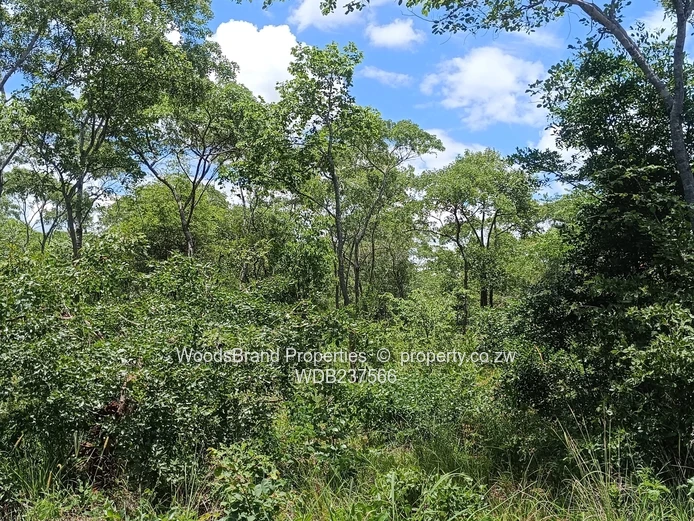 Chegutu, Dorton Plots For Sale