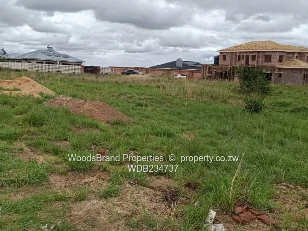 Windsor Park Ruwa Stand For Sale (Sole Mandate)