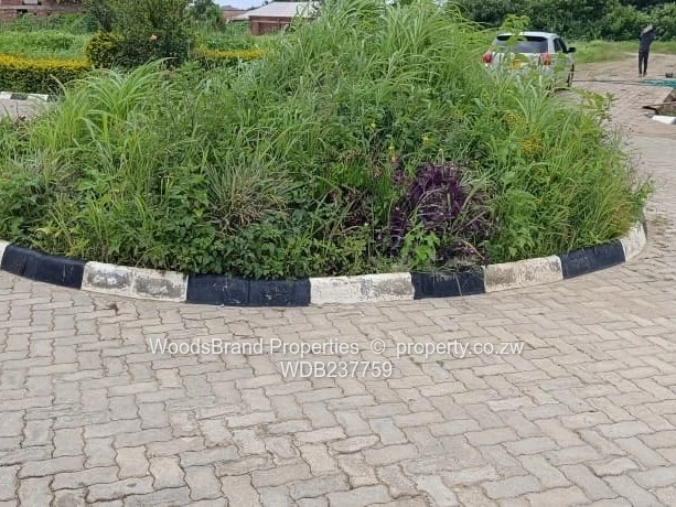 Cold Comfort Duplex Stands- Pleasant Valley drive