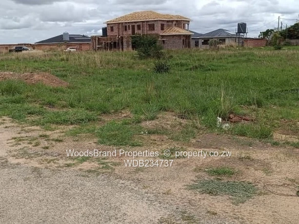 Windsor Park Ruwa Stand For Sale (Sole Mandate)