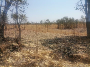 Farm & Agricultural Land