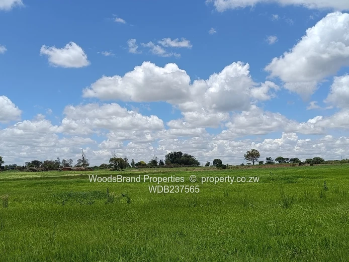 Mt Hampden land For Sale