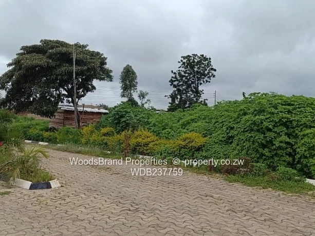 Cold Comfort Duplex Stands- Pleasant Valley drive