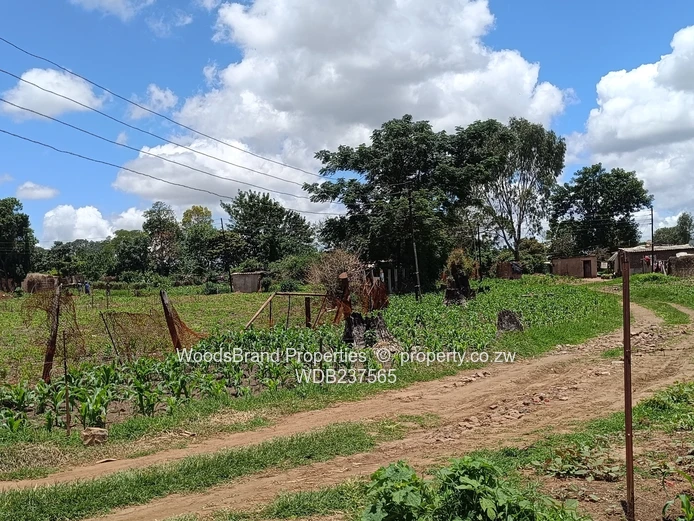 Mt Hampden land For Sale
