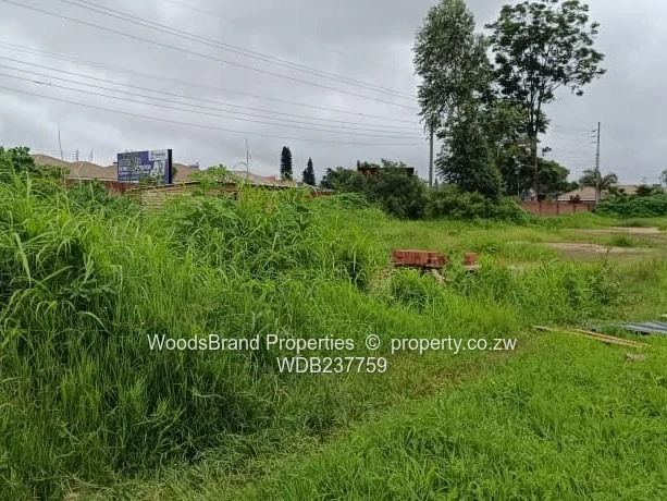 Cold Comfort Duplex Stands- Pleasant Valley drive