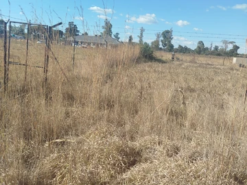 Land