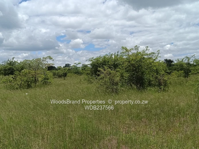 Chegutu, Dorton Plots For Sale