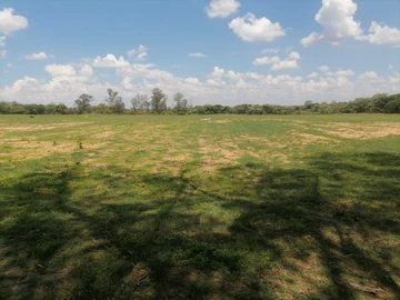 Farm & Agricultural Land