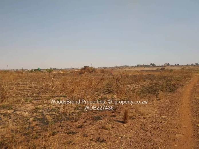 Rainham Plot for sale For sale Rainham Plot on 1.33h on a coner stand ,sandy loamy soils , asking fo