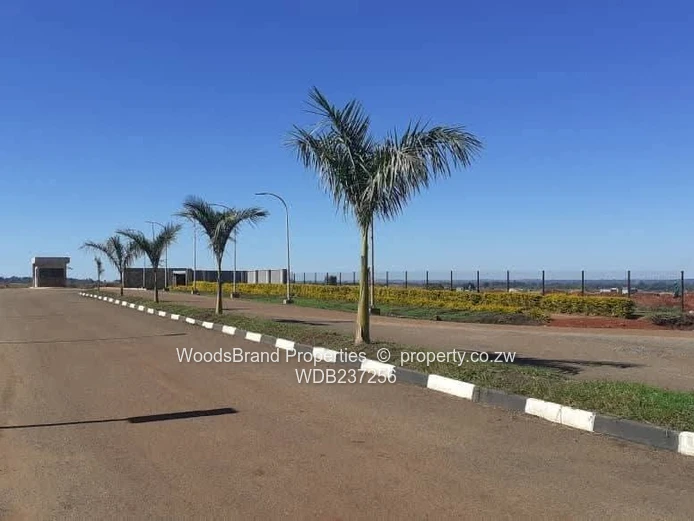 Nyeredzi Park