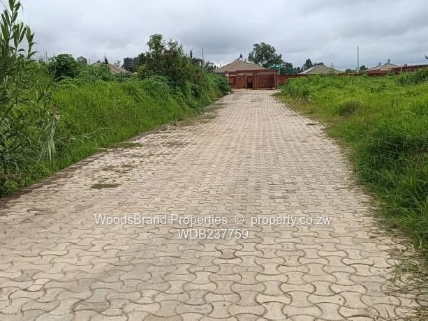 Cold Comfort Duplex Stands- Pleasant Valley drive