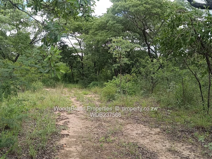 Chegutu, Dorton Plots For Sale