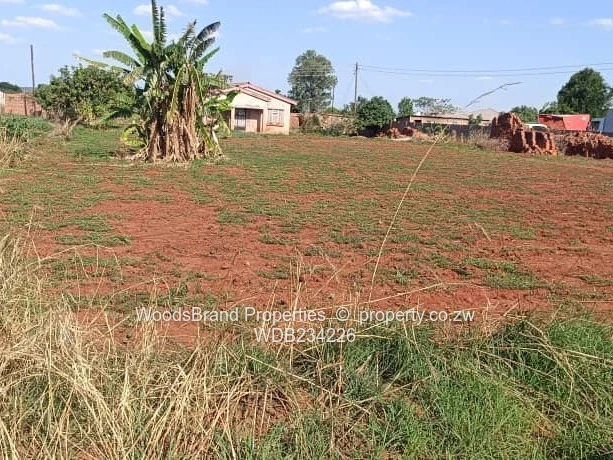 Norton Knowe Stand with A Cottage