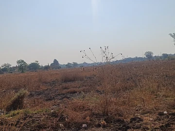 Commercial & Industrial Land