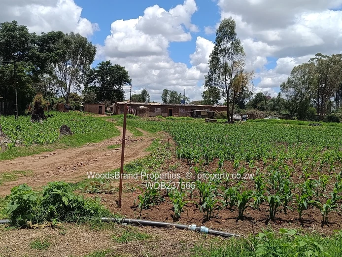 Mt Hampden land For Sale