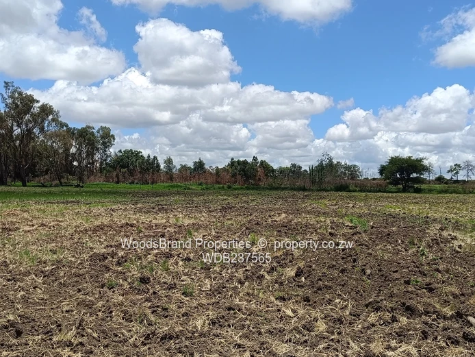 Mt Hampden land For Sale