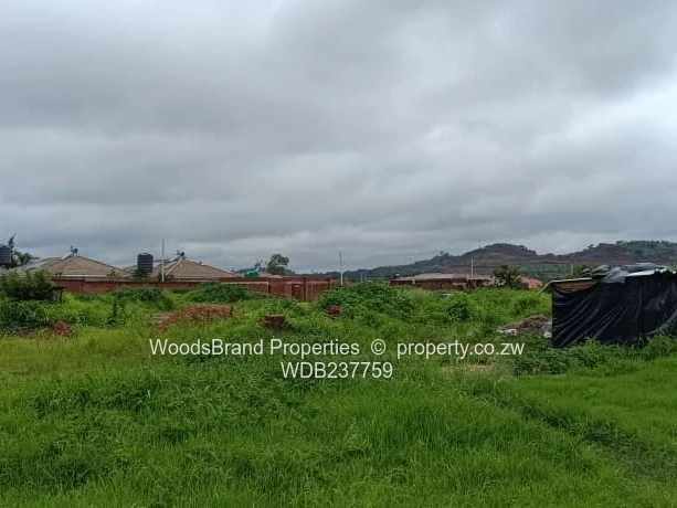 Cold Comfort Duplex Stands- Pleasant Valley drive