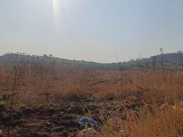 Commercial & Industrial Land