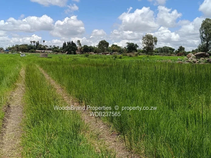 Mt Hampden land For Sale