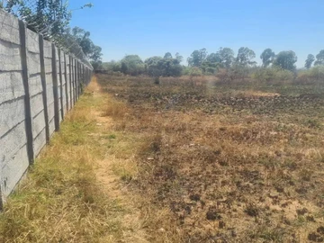 Farm & Agricultural Land