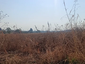 Commercial & Industrial Land