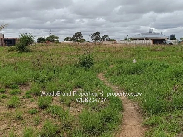 Windsor Park Ruwa Stand For Sale (Sole Mandate)
