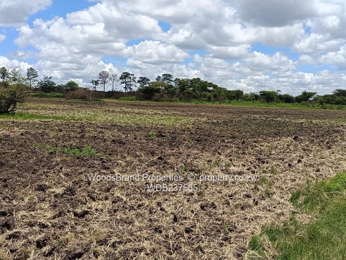 Mt Hampden land For Sale