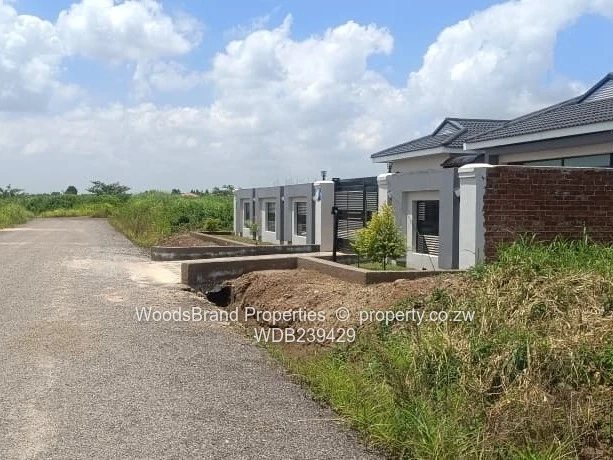 Shineplus Stand for sale