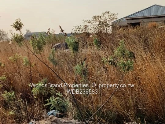 Arlington East stand for sale