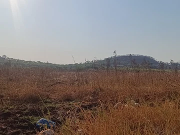 Commercial & Industrial Land