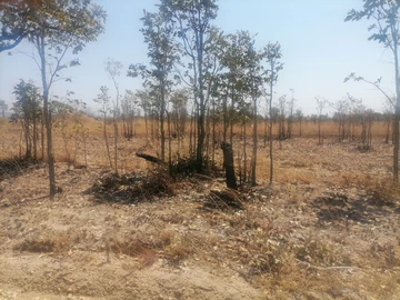 Farm & Agricultural Land