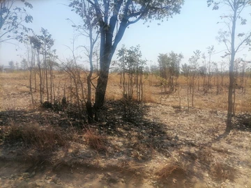 Farm & Agricultural Land