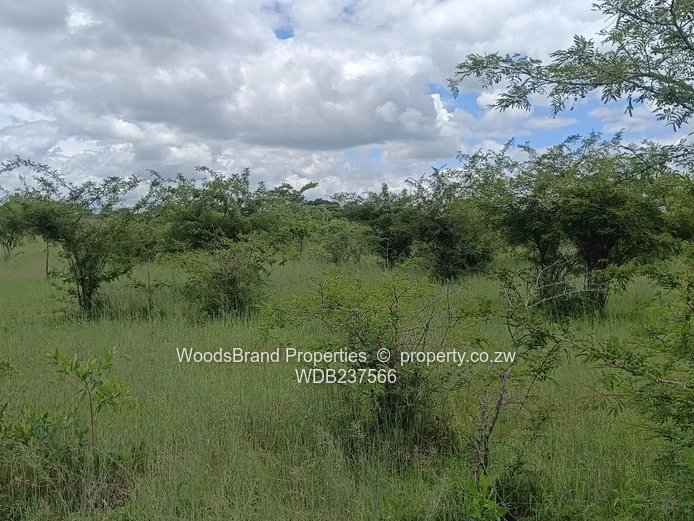 Chegutu, Dorton Plots For Sale