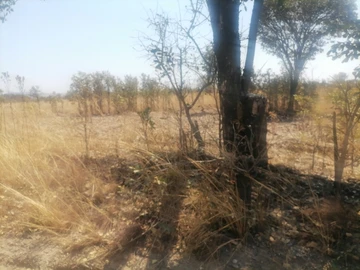 Farm & Agricultural Land