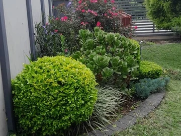 3 Bedroom Townhouse Complex