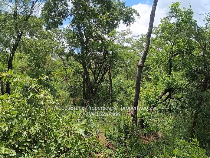 Chegutu, Dorton Plots For Sale