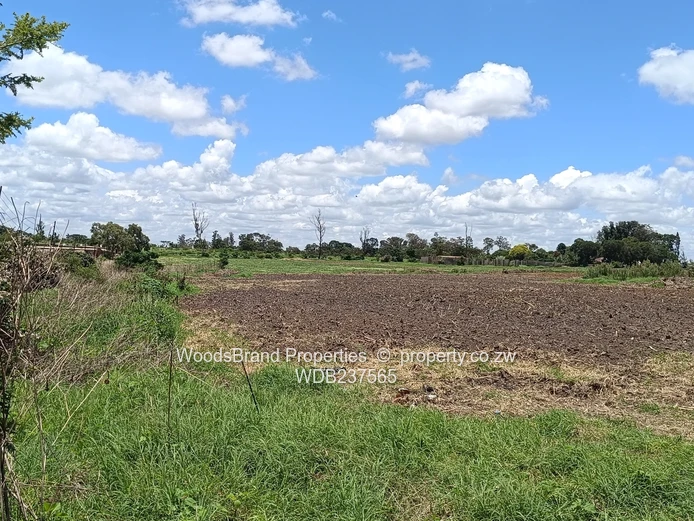 Mt Hampden land For Sale