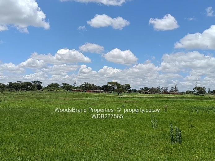 Mt Hampden land For Sale