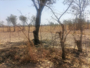 Farm & Agricultural Land