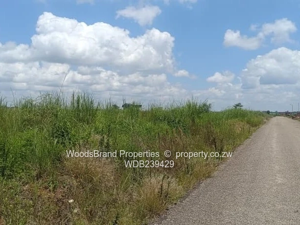 Shineplus Stand for sale